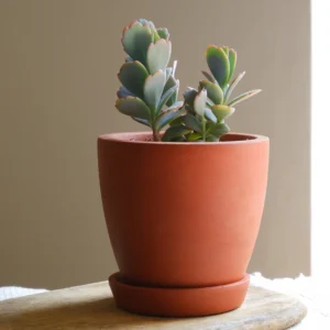 8 Inch Plain Collar Clay Pot